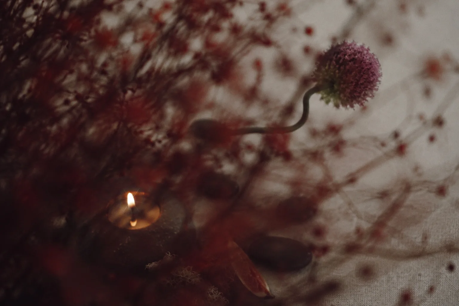 Soft-focus floral editorial detail with a lit stone candle, fig, allium stem, and red berry branches