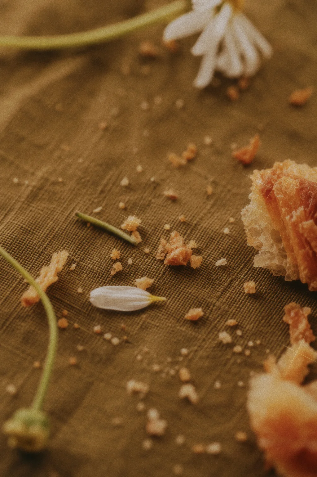 Close detail of bread crumbs, scattered white petals, and flower stems on a green tablecloth