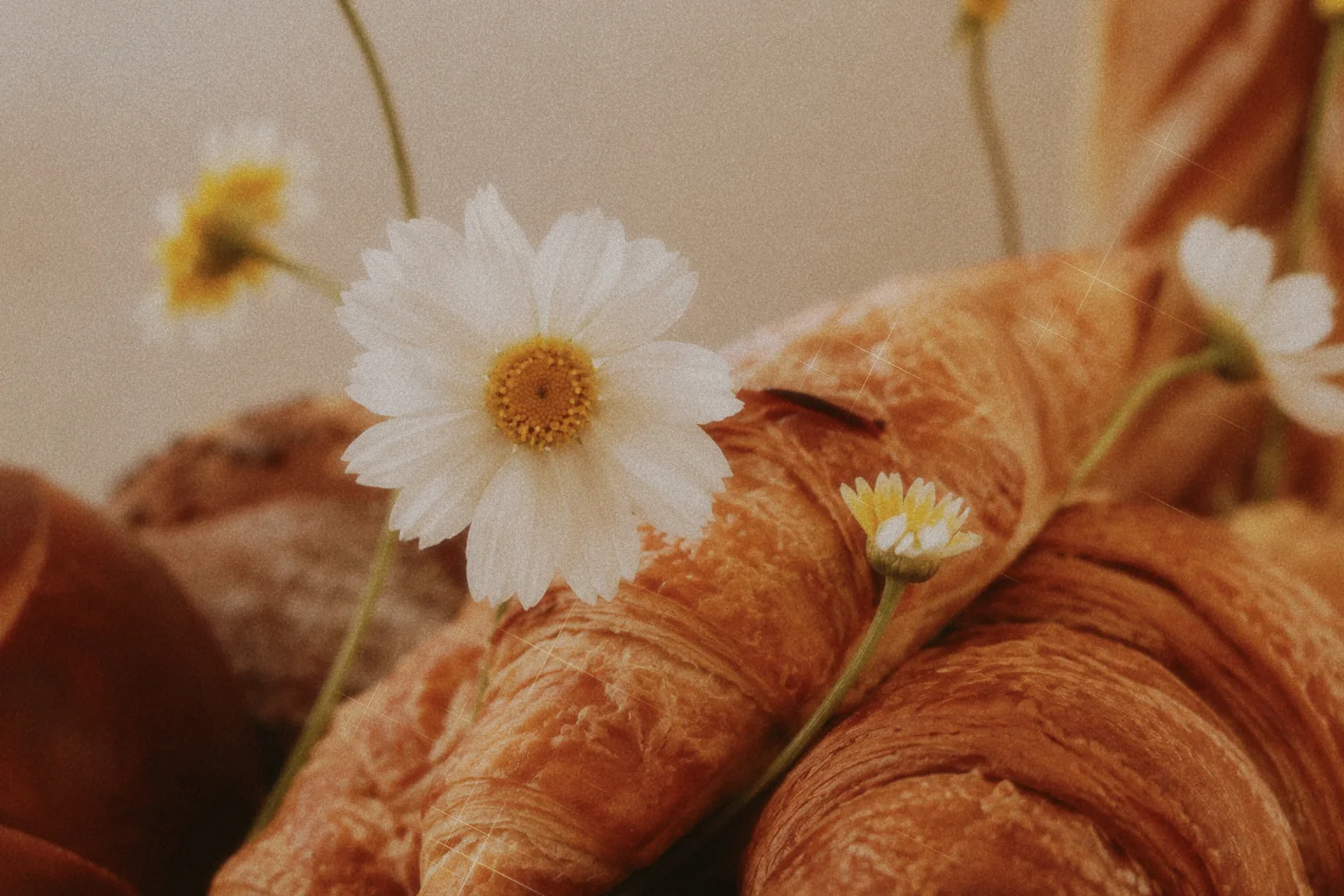 White flower with a yellow center resting against golden croissants beside small flower buds