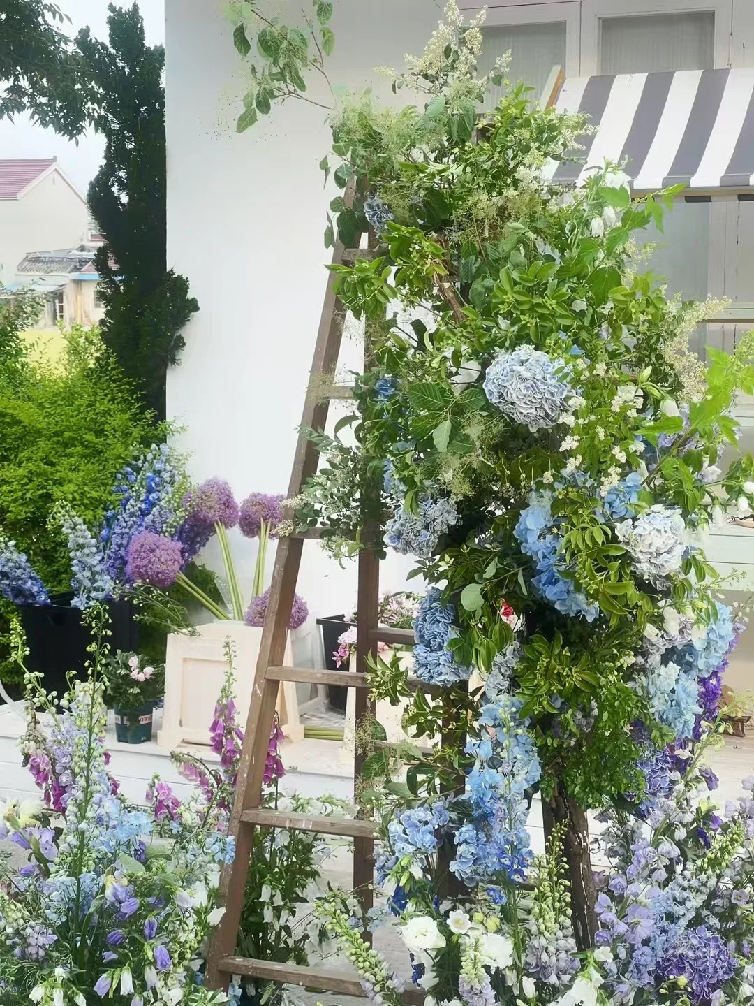 Blue and lavender hydrangeas with abundant greenery arranged around a wooden ladder outdoors