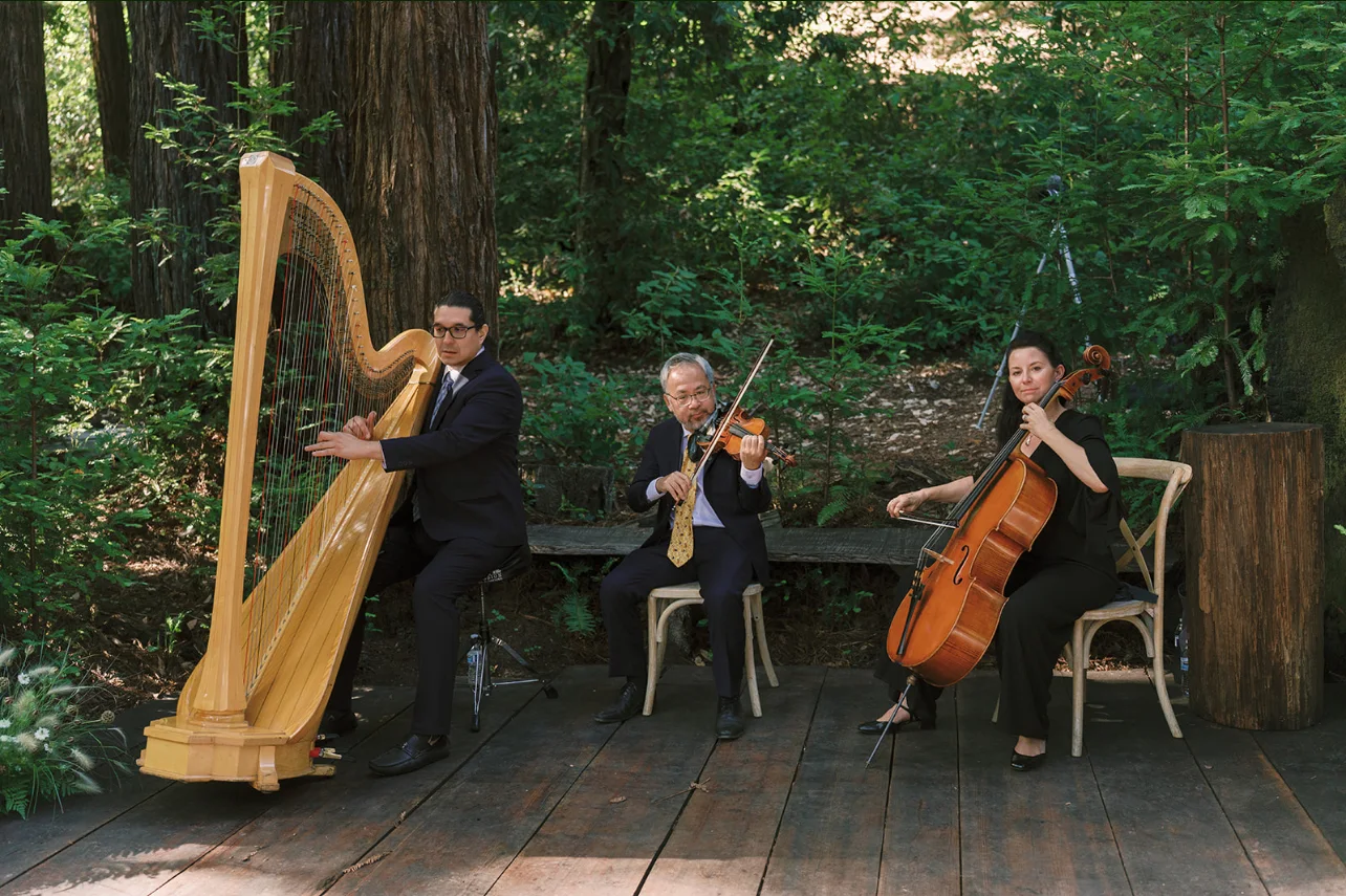 Harpist, violinist, and cellist performing together beside the redwood ceremony platform.