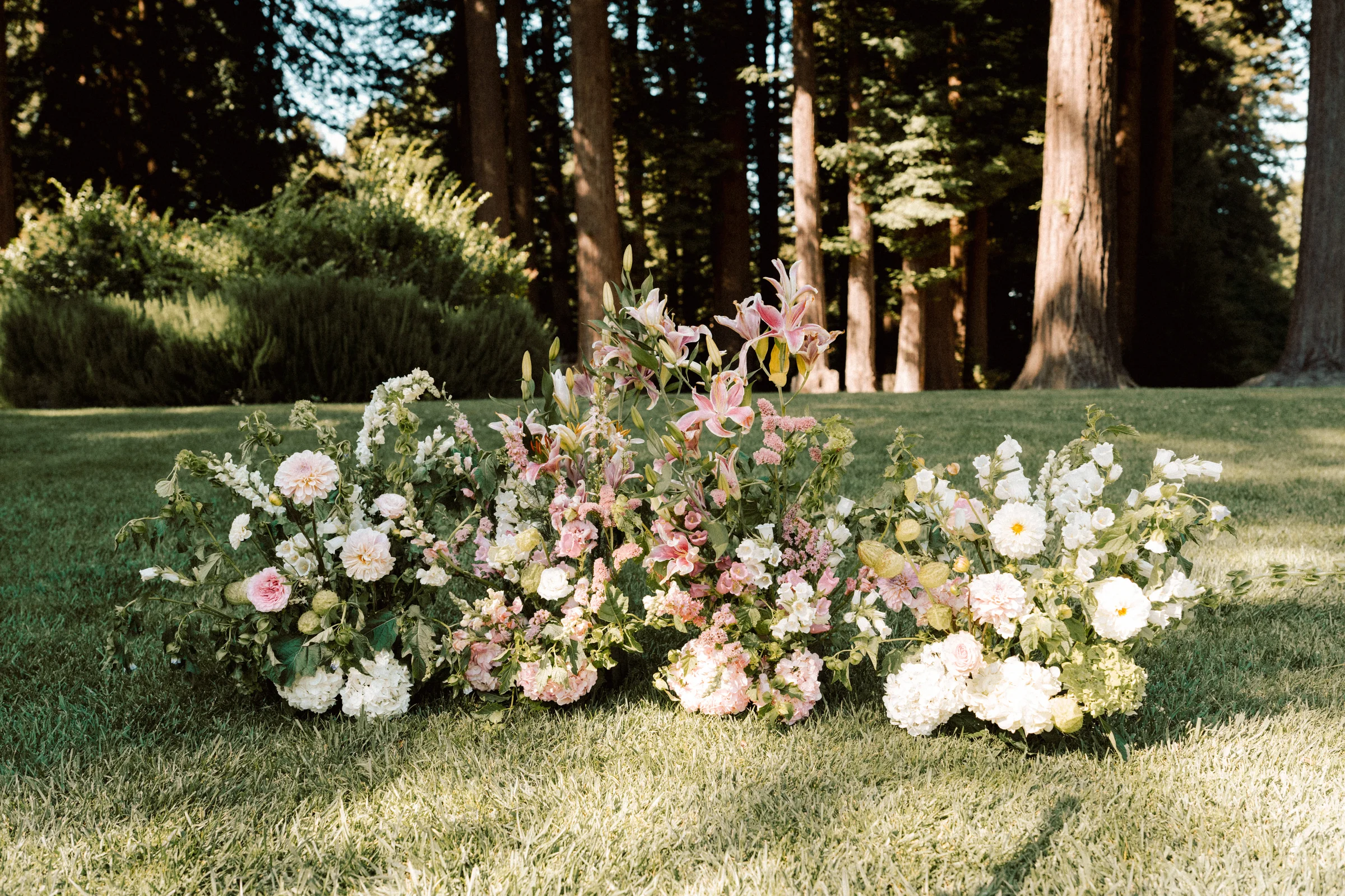 Trio of loose pink-and-white ground arrangements on a lawn before towering redwoods